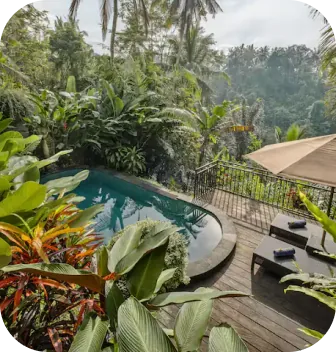 Banyan Villa — photo 2